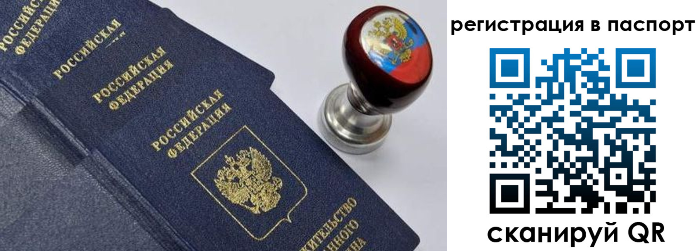 прописка поиск в Железногорск-Илимском
